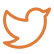 Date Icon